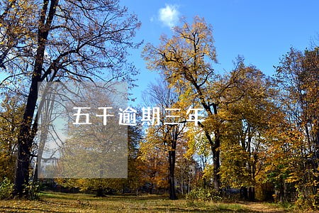 五千逾期三年