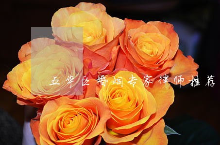 五华区婚姻专家律师推荐 五华区婚姻专家律师推荐