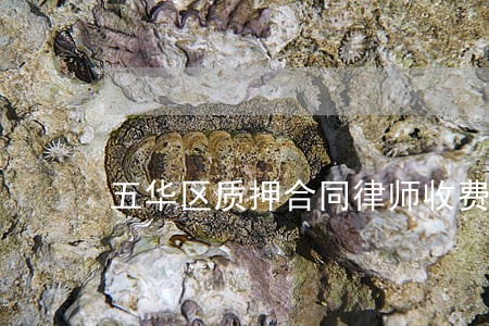 五华区质押合同律师收费标准
