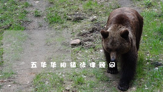五华华阳镇法律顾问 五华华阳镇法律顾问