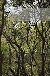 五华县求学教育律师在线免费咨询 五华县求学教育律师在线免费咨询