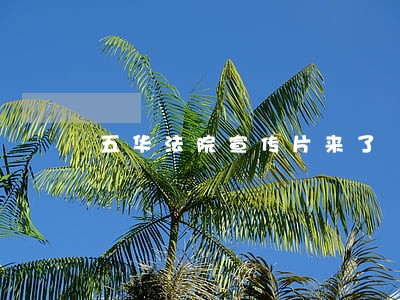 五华法院宣传片来了 五华法院宣传片来了