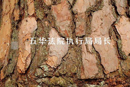 五华法院执行局局长