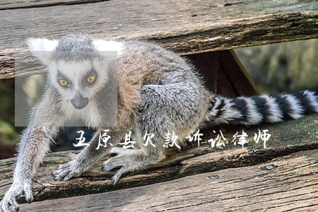 五原县欠款诉讼律师