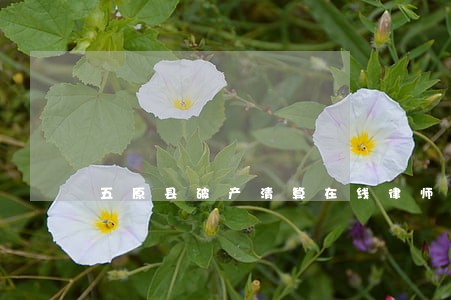 五原县破产清算在线律师 五原县破产清算在线律师