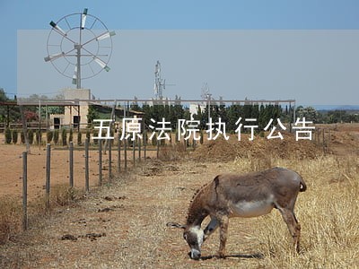 五原法院执行公告
