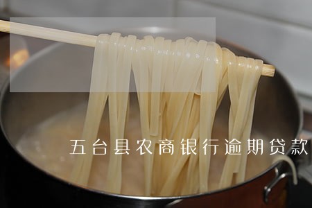 五台县农商银行逾期贷款名单 五台县农商银行逾期贷款名单
