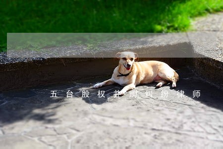 五台股权并购纠纷律师 五台股权并购纠纷律师