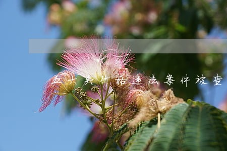五大类价格违法案件被查处 五大类价格违法案件被查处