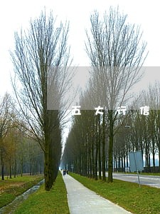 五大行信用卡逾期 五大行信用卡逾期