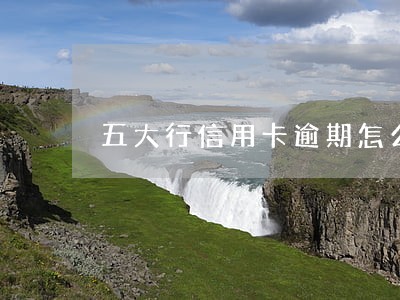 五大行信用卡逾期怎么办 五大行信用卡逾期怎么办