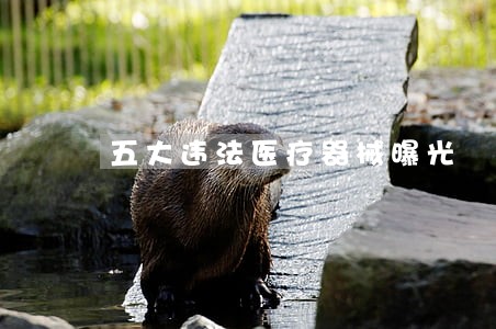 五大违法医疗器械曝光 五大违法医疗器械曝光