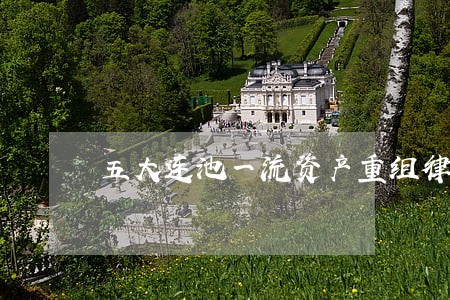 五大连池一流资产重组律师 五大连池一流资产重组律师