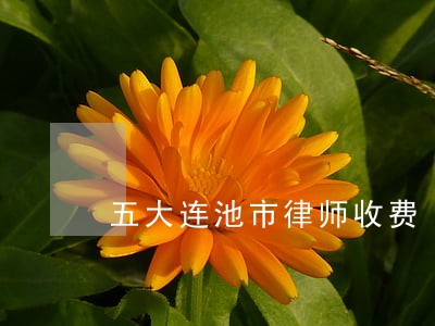 五大连池市律师收费 五大连池市律师收费