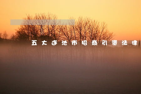 五大连池市招商引资法律咨询热线 五大连池市招商引资法律咨询热线