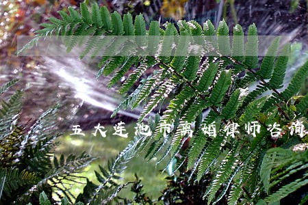 五大连池市离婚律师咨询电话 五大连池市离婚律师咨询电话