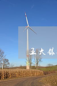 五大银行信用卡逾期怎么办 五大银行信用卡逾期怎么办