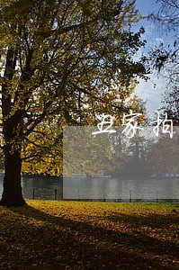 五家拍卖平台 五家拍卖平台