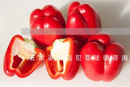 五家渠毒品犯罪法律咨询热线