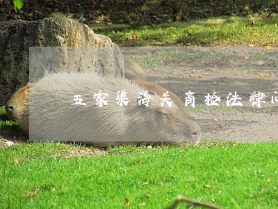 五家渠海关商检法律问答 五家渠海关商检法律问答