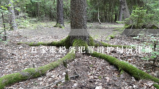五家渠税务犯罪辩护纠纷律师 五家渠税务犯罪辩护纠纷律师