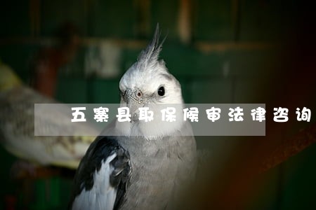 五寨县取保候审法律咨询热线 五寨县取保候审法律咨询热线