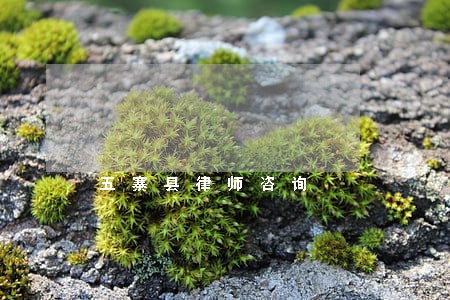 五寨县律师咨询 五寨县律师咨询