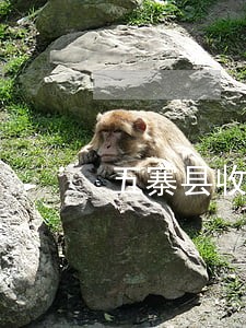 五寨县收购合同纠纷律师 五寨县收购合同纠纷律师