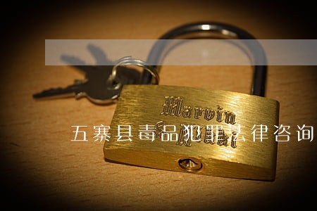 五寨县毒品犯罪法律咨询 五寨县毒品犯罪法律咨询