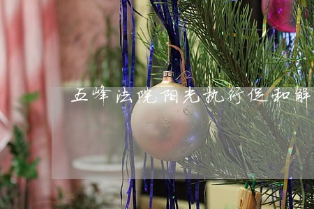 五峰法院阳光执行促和解 五峰法院阳光执行促和解