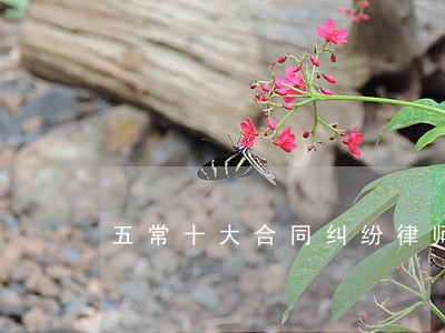 五常十大合同纠纷律师 五常十大合同纠纷律师