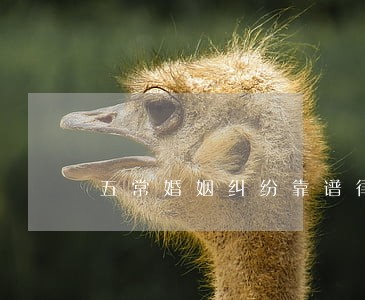 五常婚姻纠纷靠谱律师