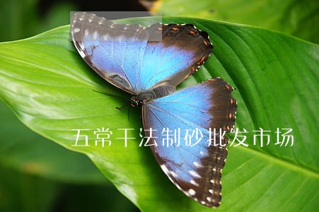 五常干法制砂批发市场 五常干法制砂批发市场