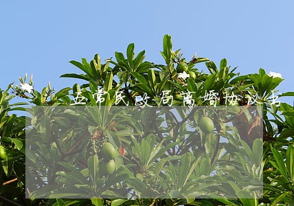 五常民政局离婚协议书 五常民政局离婚协议书