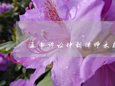 五常诉讼仲裁律师采购批发