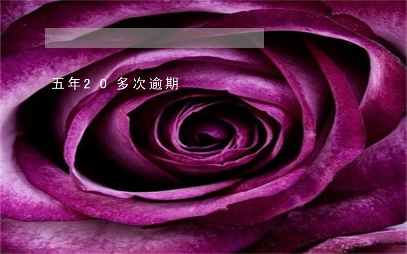 五年20多次逾期 五年20多次逾期
