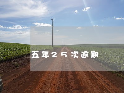 五年25次逾期 五年25次逾期