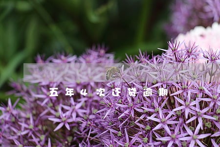 五年4次还贷逾期