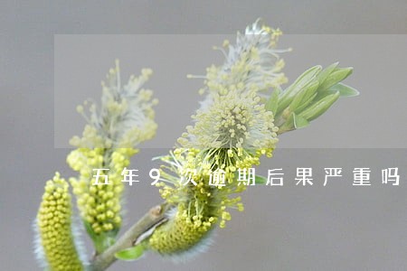 五年9次逾期后果严重吗 五年9次逾期后果严重吗
