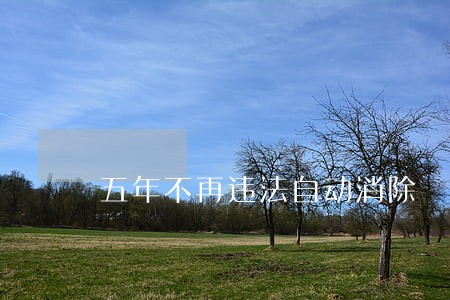 五年不再违法自动消除 五年不再违法自动消除