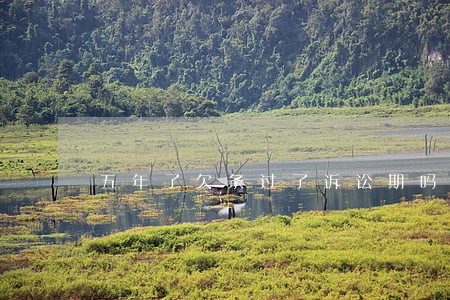 五年了欠条过了诉讼期吗