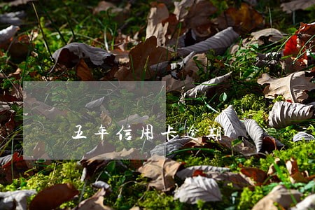 五年信用卡逾期 五年信用卡逾期