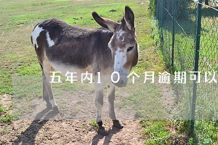五年内10个月逾期可以房贷吗 五年内10个月逾期可以房贷吗