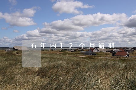 五年内12个月逾期
