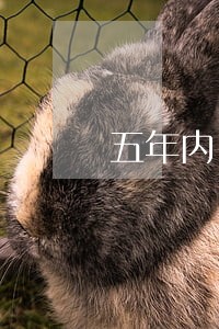 五年内17次逾期买不了房 五年内17次逾期买不了房