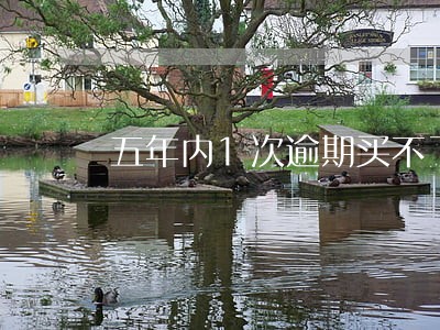 五年内1次逾期买不了房 五年内1次逾期买不了房