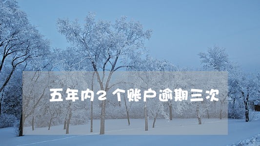 五年内2个账户逾期三次 五年内2个账户逾期三次