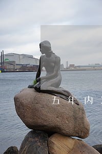 五年内30个月逾期 五年内30个月逾期