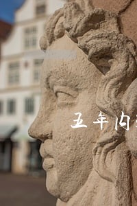 五年内33个月逾期状态 五年内33个月逾期状态