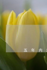五年内3个月处于逾期 五年内3个月处于逾期